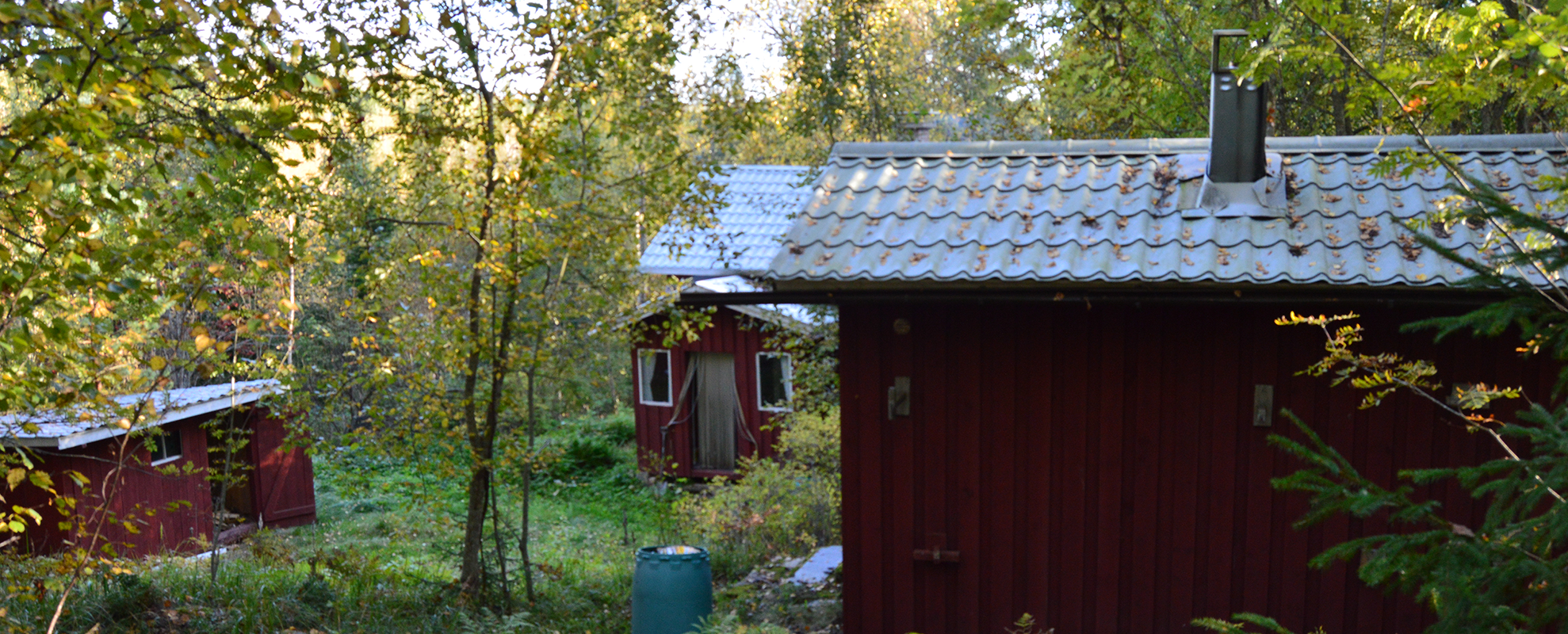 Saunan takaa alaspäin pihaan.