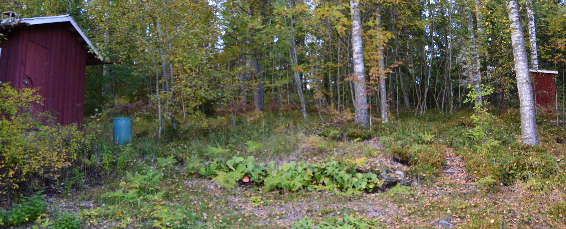 Ylärinteeseen.